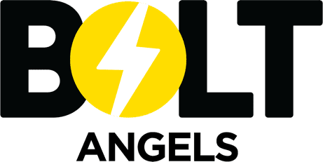 Bolt Angles Logo